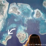航空写真で見る新城島の位置