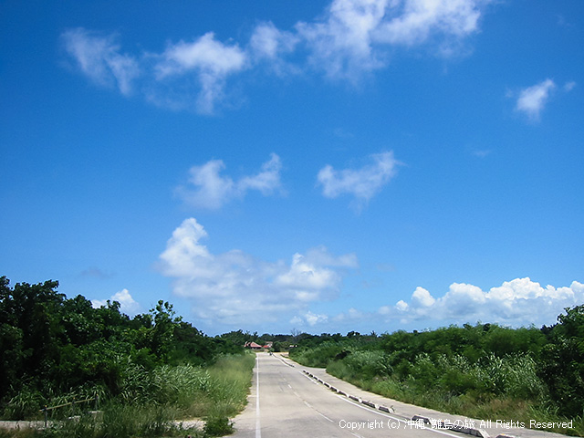 島の外周道路